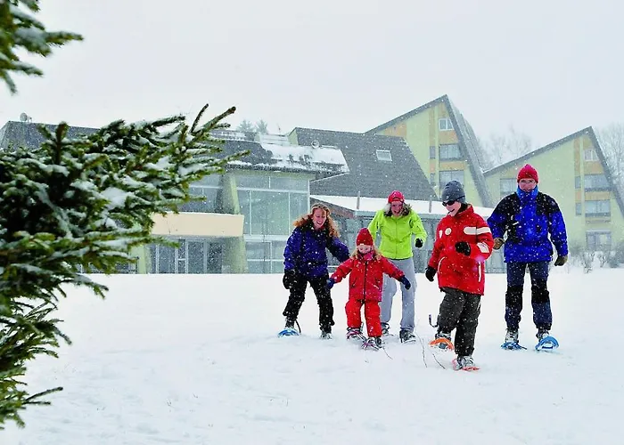 Vtf Le Domaine Des Puys *